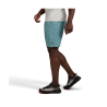 Black Diamond Sierra Shorts - Walking shorts - Men's | Hardloop