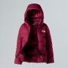 The North Face Summit Cloud Down Amk Parka - Casaco penas mulher | Hardloop