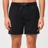Oakley Beach Volley 16" Beachshort - Boardshorts męskie | Hardloop