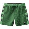 Vivid Verdant