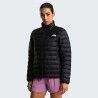 The North Face Classic Down Jacket - Donsjack - Dames | Hardloop