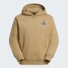The North Face U Mountain Celebration Relaxed Hoodie-Graphic - Hoodie - Herren | Hardloop