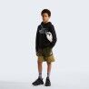 The North Face Teen Drew Peak Light Reg Hoodie - Hoodie - Kid's | Hardloop