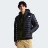 The North Face Classic Down Hooded Jacket - Doudoune homme | Hardloop