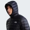 The North Face Classic Down Hooded Jacket - Dunjakke - Herrer | Hardloop