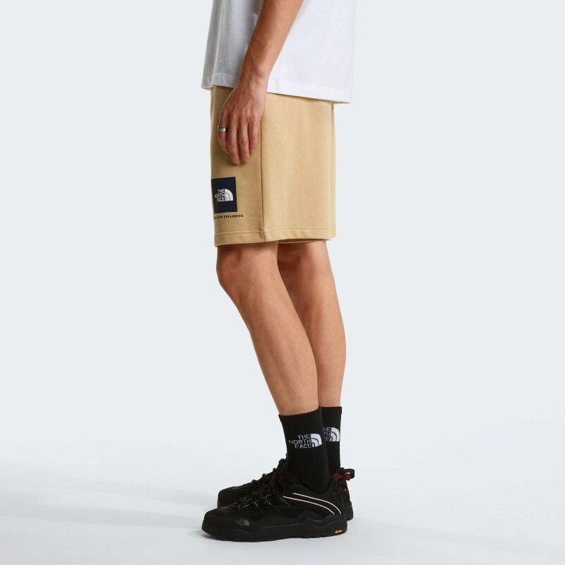 The North Face Box NSE Light Regular Shorts - Short homme | Hardloop