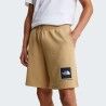 The North Face Box NSE Light Regular Shorts - Shorts - Men's | Hardloop