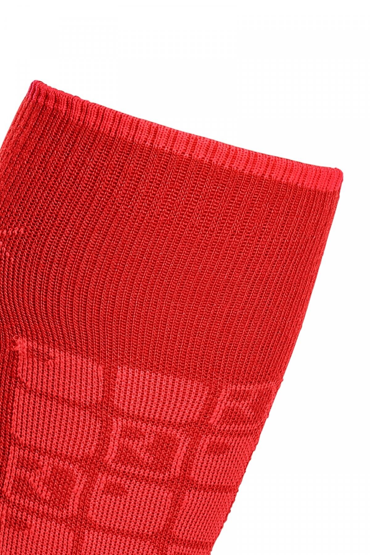 Ortovox - Ski Compression Socks - Calze da sci - Donna