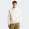 The North Face U Mountain Celebration Relaxed Hoodie-Graphic - Hoodie - Heren | Hardloop