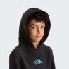 The North Face Liquid Logo Reg Hoodie - Sweatshirt à capuche enfant | Hardloop
