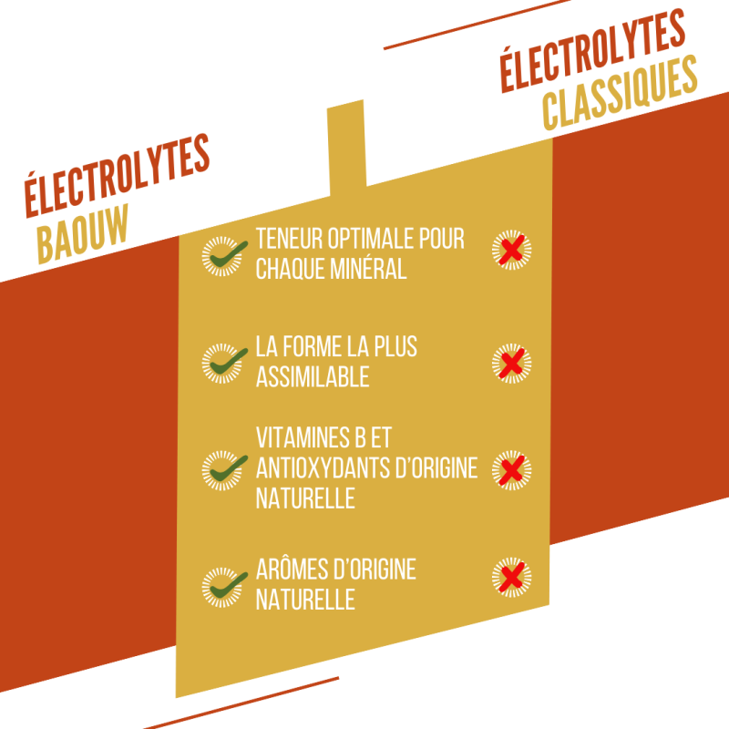 Baouw Mangue - Ananas - Energy drink | Hardloop