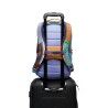Cotopaxi Allpa 18L Daypack - Del Dia - Sac à dos de voyage | Hardloop