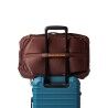 Cotopaxi Allpa 35L Travel Pack - Reiserucksack