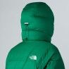 The North Face Summit Cloud Down Amk Parka - Dunjacka - Herr | Hardloop