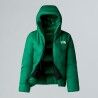 The North Face Summit Cloud Down Amk Parka - Doudoune homme | Hardloop
