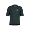 Mountain Pine