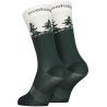 Mountain Pine
