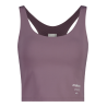 Stormy Lilac