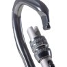 Beal Be Link Screw - Carabiner | Hardloop