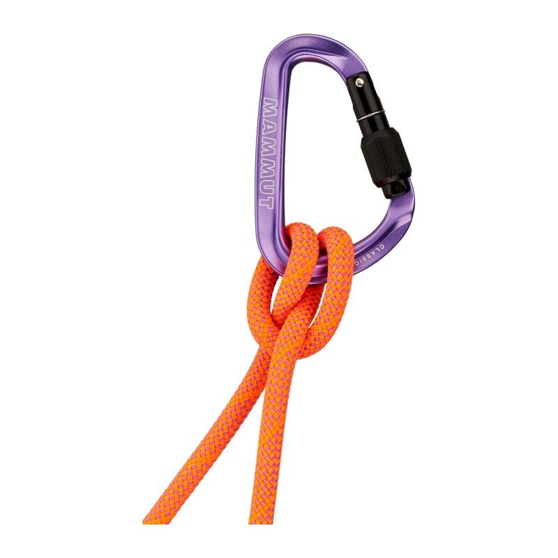 Mammut Classic HMS Screwgate - Mosquetão | Hardloop
