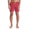 Quiksilver Everyday Solid 15" - Bañador | Hardloop