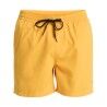 Radiant Yellow
