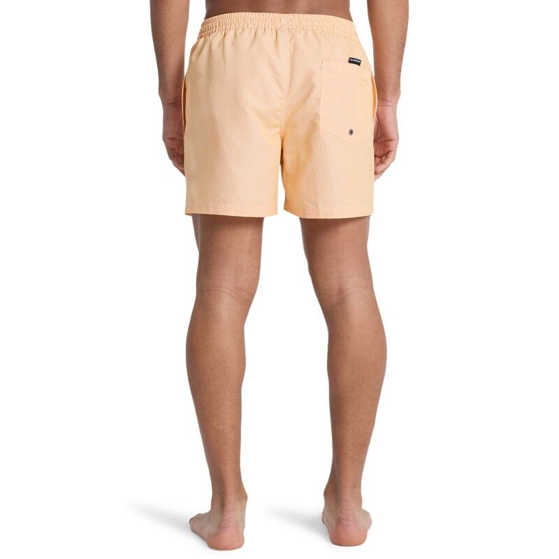 Quiksilver Everyday Deluxe 15" - Bañador | Hardloop
