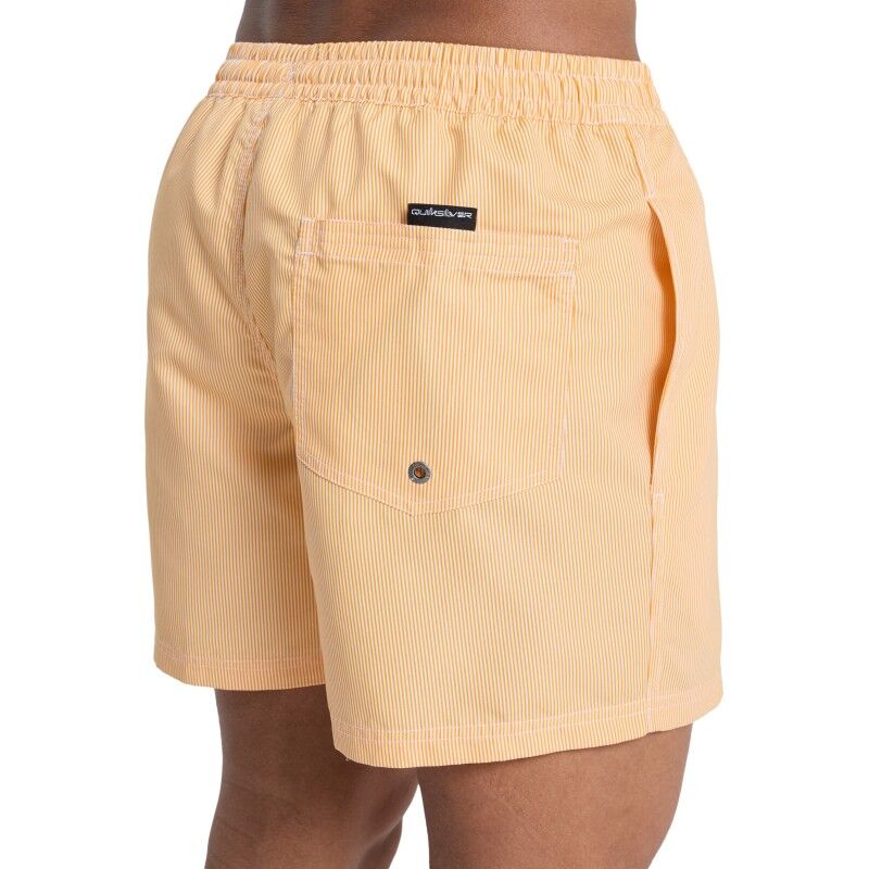 Quiksilver Everyday Deluxe 15" - Bañador | Hardloop