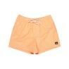 Quiksilver Everyday Deluxe 15" - Bañador | Hardloop