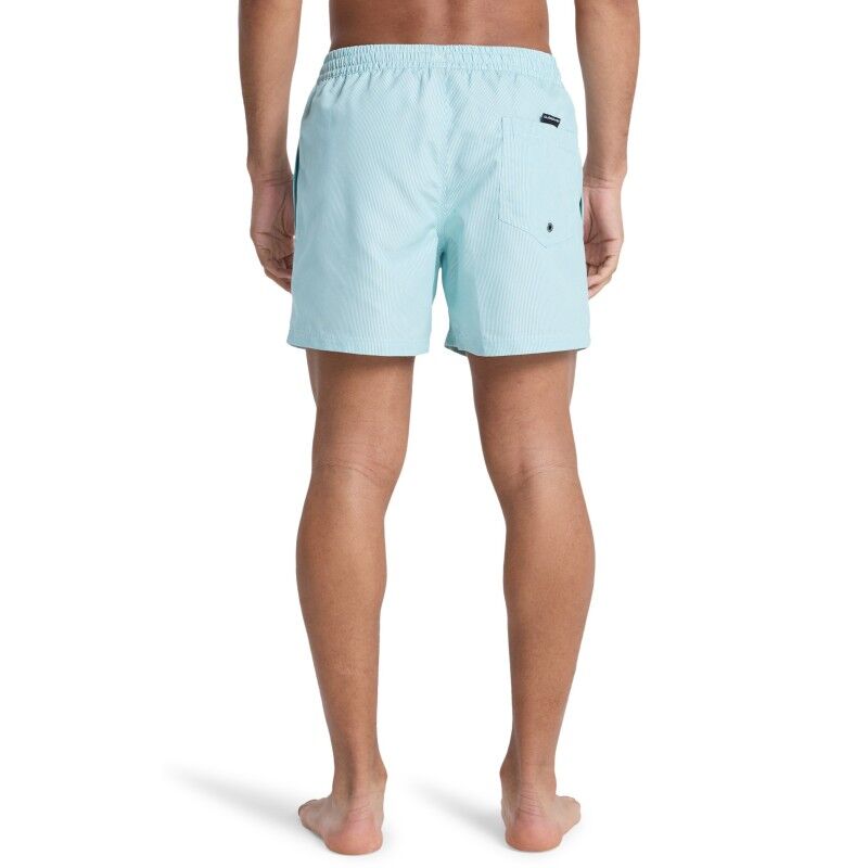 Quiksilver Everyday Deluxe 15" - Maillot de bain | Hardloop