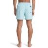 Quiksilver Everyday Deluxe 15" - Maillot de bain | Hardloop
