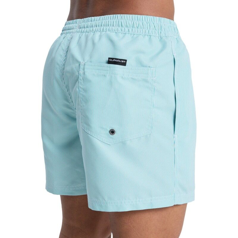 Quiksilver Everyday Deluxe 15" - Maillot de bain | Hardloop