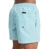 Quiksilver Everyday Deluxe 15" - Maillot de bain | Hardloop