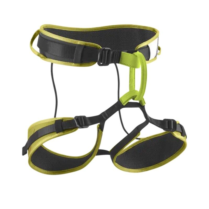 Zack Gym II - Climbing harness