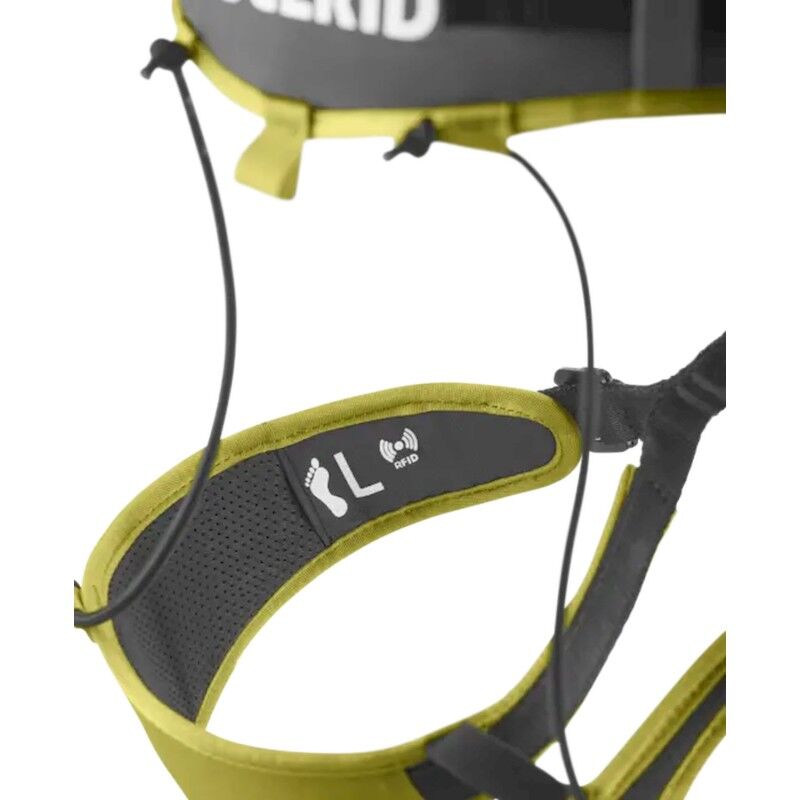 Edelrid Zack Gym II - Imbrago arrampicata | Hardloop