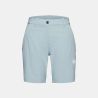 Nebla