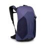 Botswana Purple