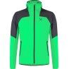 Vibe Green / Antracite