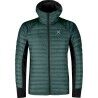 Verde Foresta