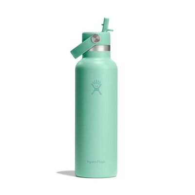 21 Oz Standard Flex Straw Cap - Termospullot