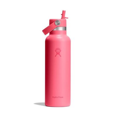 21 Oz Standard Flex Straw Cap - Termos