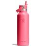 Popstar Pink