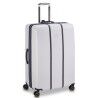 Delsey Cadence Soute Extensible - Trolley | Hardloop