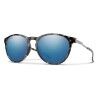 Sky Tortoise
