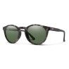 Matte Gray Tortoise
