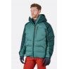 Pine / Bright Arctic