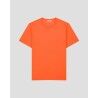 Sunny Orange
