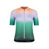 Mountain Pine Rainbow