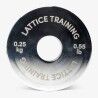 Lattice Fractional Weight Plates - Lezecké chyty | Hardloop