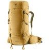 Savanna / Nori
